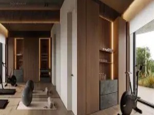 建立“家庭运动健康角”：器材与动力的有序管理