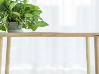 装修除味用什么