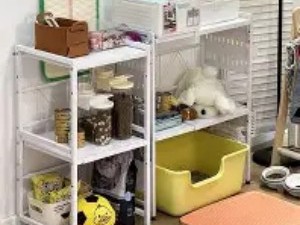 宠物用品的“一体化”生活站