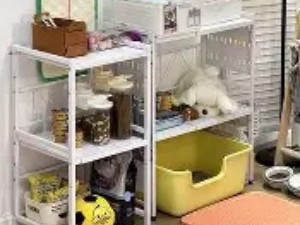 宠物用品的“一站式”生活站管理