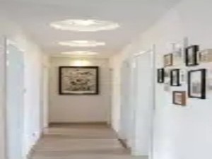 走廊与过道的潜力挖掘：打造家庭图书馆或展示廊