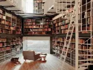 打造“分布式迷你图书馆”：让阅读融入生活场景