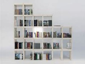  模块化书柜与置物架系统：灵活适应变化的需求