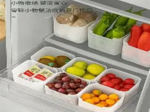 冰箱侧门的“磁性扩展”与内部“餐盒标准化”
